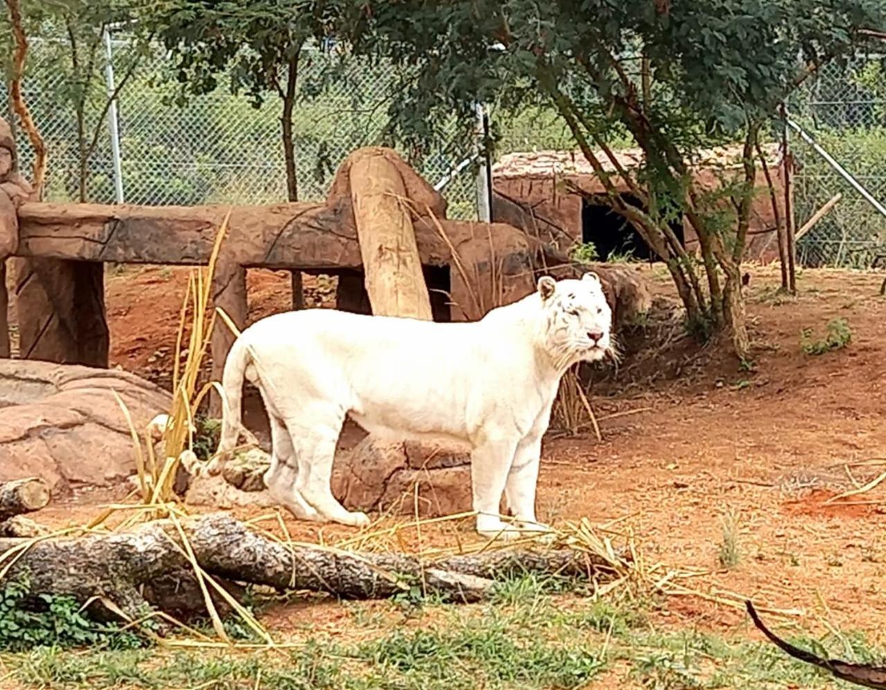 Pumbaa Wildlife Park & Accommodation Mbombela Екстериор снимка